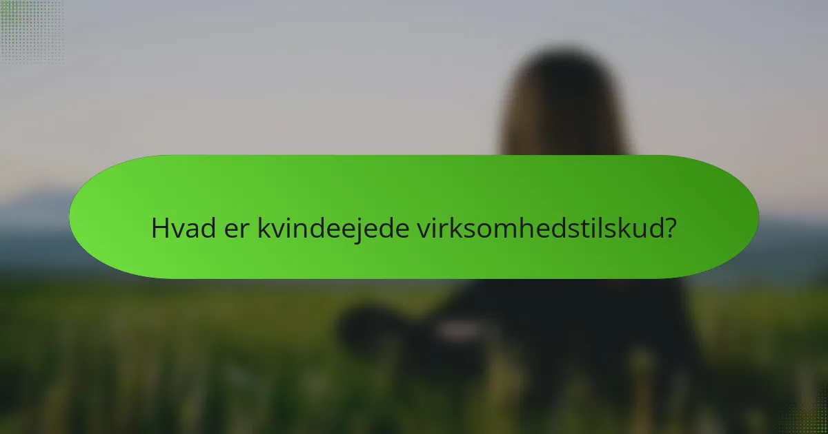 Hvad er kvindeejede virksomhedstilskud?