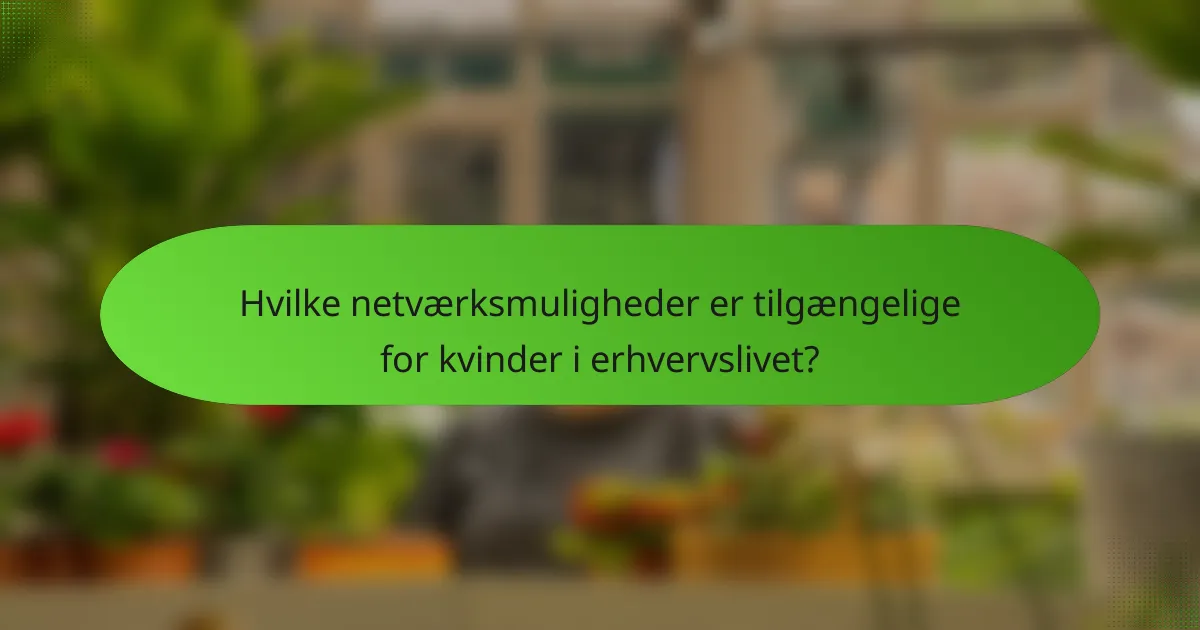 Hvilke netværksmuligheder er tilgængelige for kvinder i erhvervslivet?