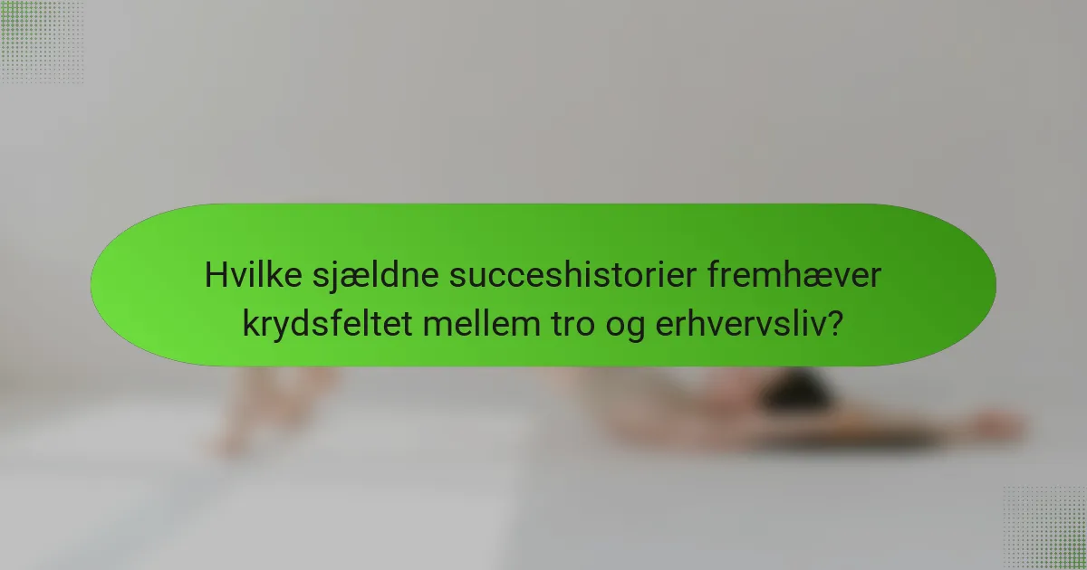 Hvilke sjældne succeshistorier fremhæver krydsfeltet mellem tro og erhvervsliv?